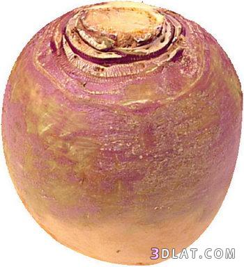 اللفت Turnip