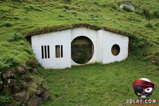 منازل الغنم بايسلندا