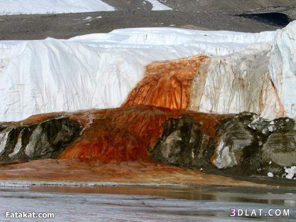 رد: لغز شلالات الدم بالقارة القطبية الجنوبية بالصوررر