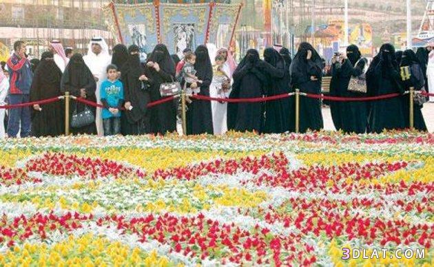 أكبر سجادة زهور في العالم في السعودية