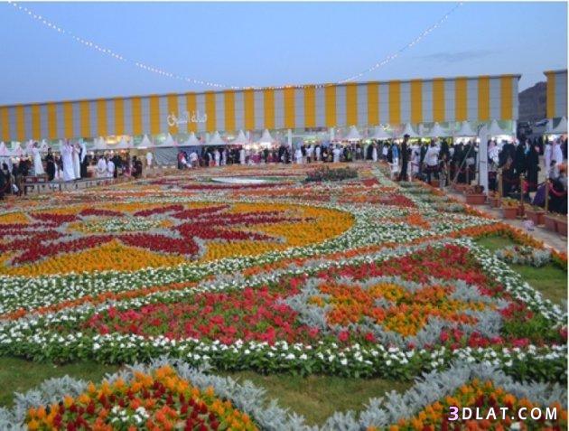 أكبر سجادة زهور في العالم في السعودية