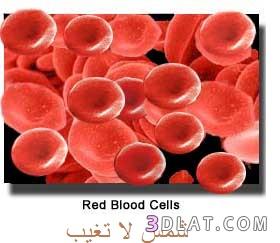 فقر الدم - أنيميا نقص الحديد -Iron deficiency anemia
