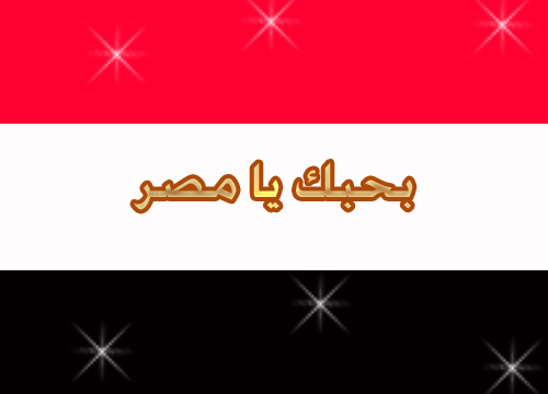 رئيس مصر الجديد
