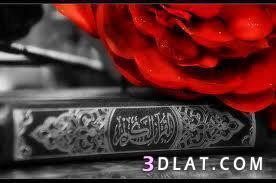 القرآن كله شفاء |سبحان الله