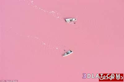 البحيرة الوردية فى السنغال