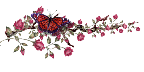 جوهرة كتلبيلر، حشرة غريبة فائقة الجمال