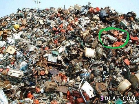 رد: اعرفي القطة فييييييييييين؟؟؟