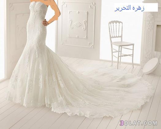 فساتين زفاف(مشاركتى فى المسابقه)