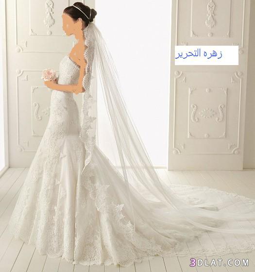 فساتين زفاف(مشاركتى فى المسابقه)