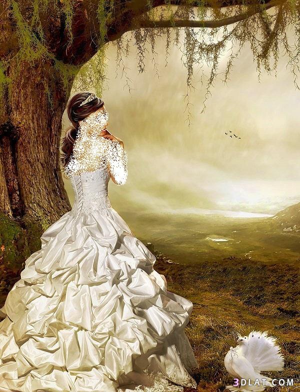 فساتين زفاف من عالم الاحلام، فساتين زفاف خيالية