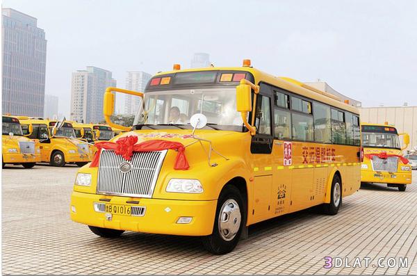 حافلات تستقبل العام الجديد في الصين