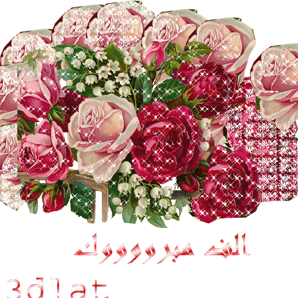 رد: مبروك لهبة شلبي 24 ألفية