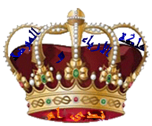 ملكة الازياء والموضه (3)