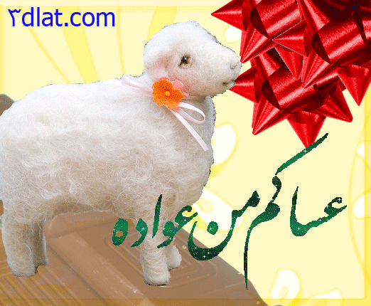 صور تهانئ بالعيد السعيد 1445-2024,صور تهانئ بالعيد السعيد(مساهمتى )