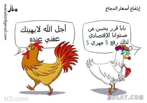 كاريكاتير عن الدجاج