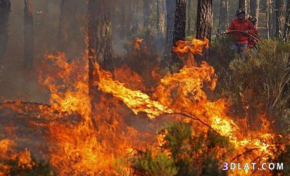صور لحرائق الغابات.صور اطفاء حرائق الغابات..حرائق الغابات