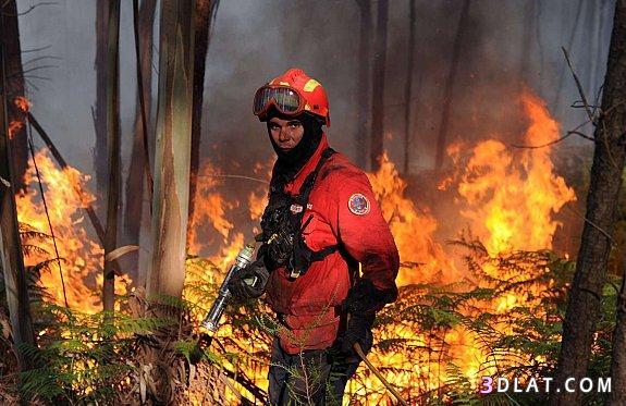 صور لحرائق الغابات.صور اطفاء حرائق الغابات..حرائق الغابات