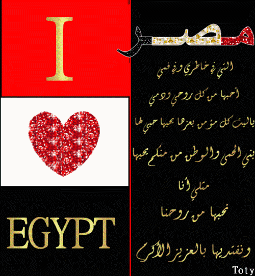 فى حب مصر .. الكل يشارك ولو بتصميم واحد
