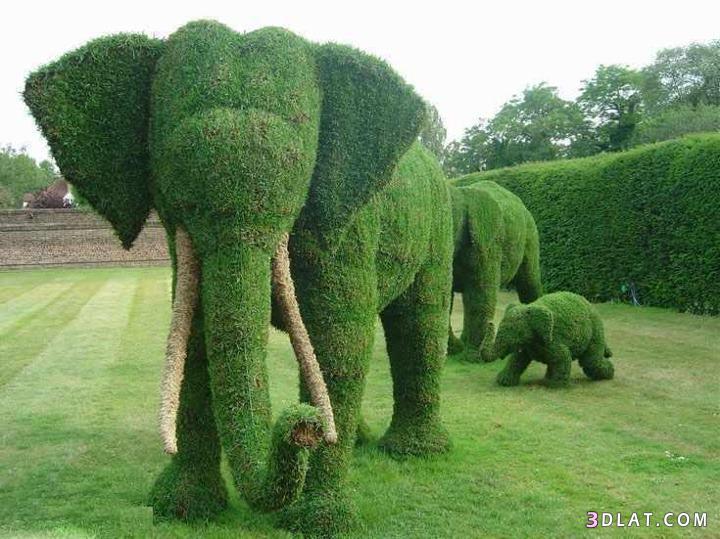 فن في إبداع الحدائق