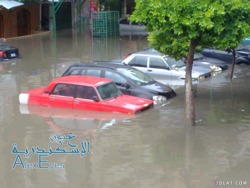 حالة الجو في اسكندرية بالصور ( من تجميعي )