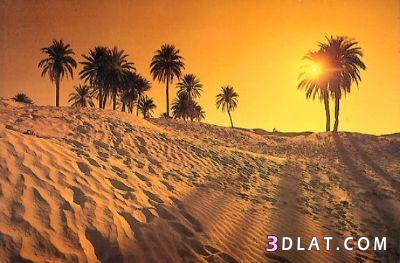 روعة الصحراء التونسية (إختياراتي لعيونكم)