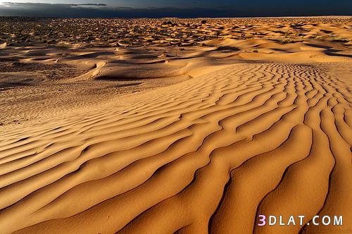روعة الصحراء التونسية (إختياراتي لعيونكم)