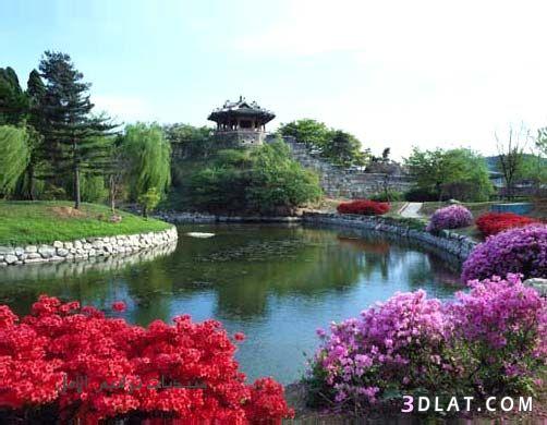 معالم سياحية بكوريا 2024 ، اروع صور مدينه كوريا 2024 ، مجموعة صور رائعة لمدينه ك