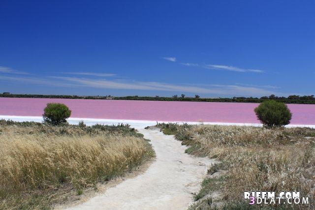 أجمل بحيرة وردية في العالم في استراليا