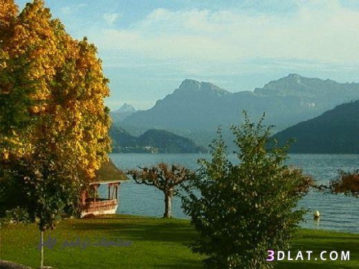 سحر الطبيعة في شفايتز السويسرية 2024\صور شفايتز سويسريه 2024