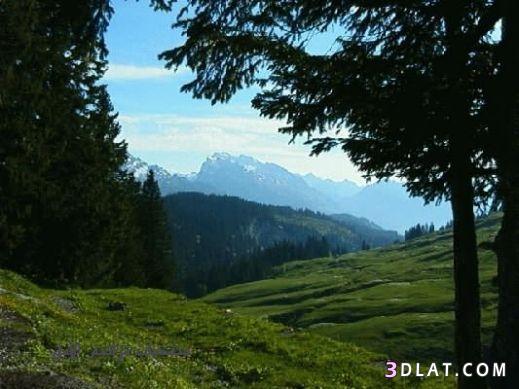 سحر الطبيعة في شفايتز السويسرية 2024\صور شفايتز سويسريه 2024