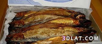 كيف تشتري سمك طازج / شراء أسماك طازجة / كيفيه شراء الاسماك