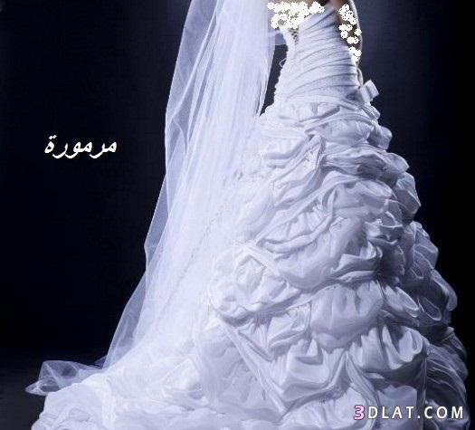 اخر صيحات فساتين الزفاف لعام 2024 للمصممه اللبنانيه مارلين ناشف
