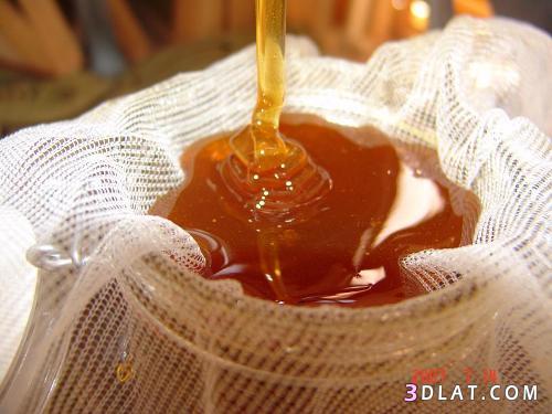 العسل اليمنى معلومات عن العسل اليمنى انواع العسل اليمنى