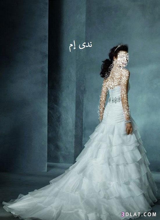 فساتين زواج مميزة  ، فساتين زفاف Alfred Angelo ، فساتين افراح روعة