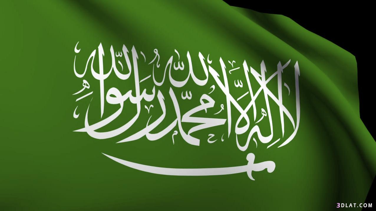 المملكة العربية السعودية,السعودية,كل ما تريد معرفته عن السعودية