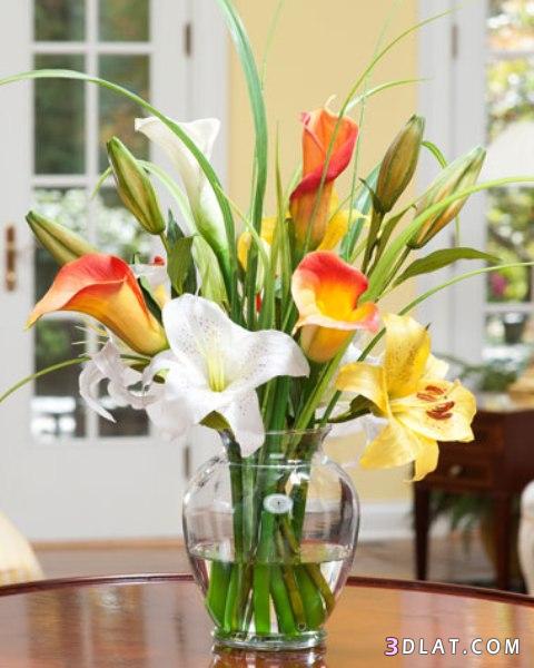 زهور جميلة لتزين المنزل تعلمي كيف تزيني منزلك بالزهور جمالا وعبيرا لبيتك 2024