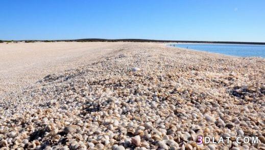 شاطئ الصدف فى اسبانيا صور شاطئ الصدف فى اسبانيا