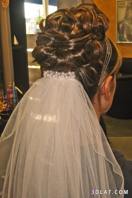 صور تسريحات للعرايس تسريحات شعر للعروس تسريحات شعر جديدة شيك للعروس