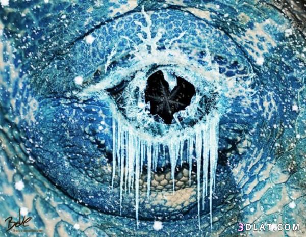 فن التلاعب بالمياه لفنان الرقمية بوكي