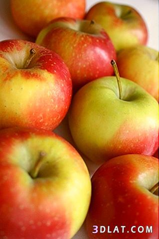 صور تفاح,اجمل الصور للتفاح،صور تفاح احمر,صور تفاح اخضر,صور جميله للتفاح