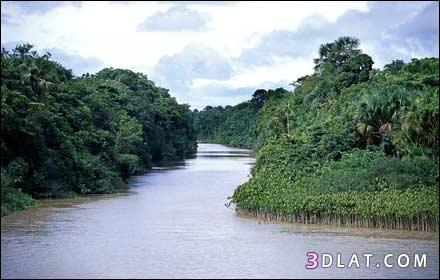 صور نهر الامازون,نهر الامازون الطويل,صور لنهر الامازون الرائع