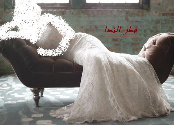 فساتين زفاف قطر الندا عند عدلات وبس (1)
