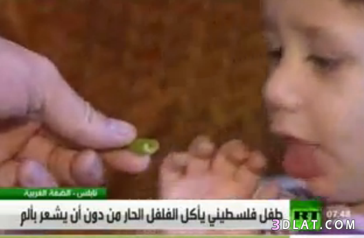 طفل بالرابعه يحب اكل الفلفل الحار ويتلذذ به,طفل فلسطينى مدمن اكل الفلفل الحار يو
