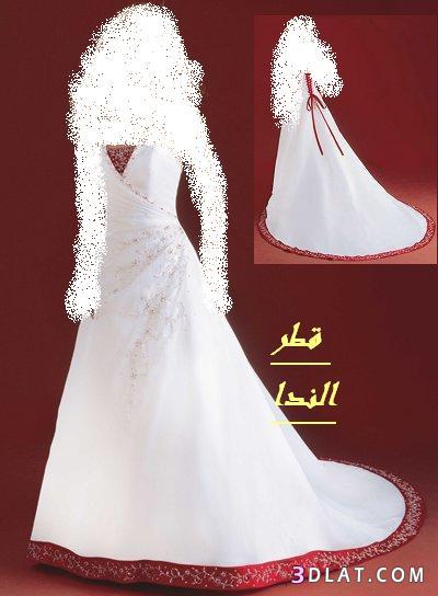 فساتين زفاف قطر الندا على عدلات وبس (2)