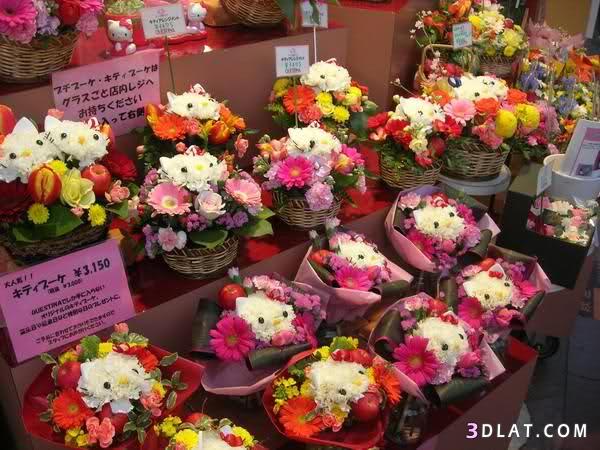 تنسيق الورود في اليابان