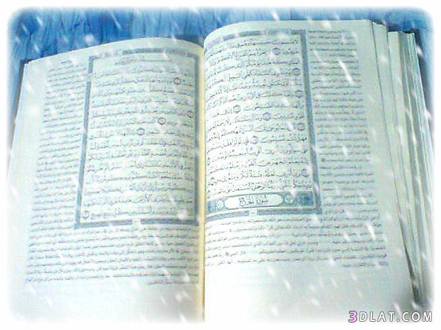 صور للمصحف الشريف ، القرآن الكريم بالصور ،من تصويرى