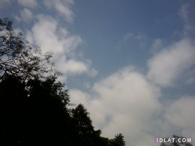 صور السماء الصافية فى الصباح الباكر ، صور السماء والشجر من تصويرى ، صور السحاب