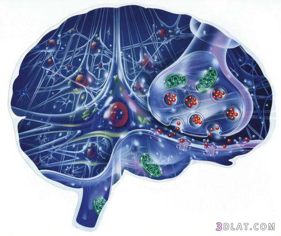 طريقة جديدة لتشخيص أمراض الدماغ