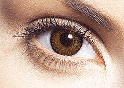 تلوين العيون باحتراف وبسهوله بدون تحديد العين,درس فوتوشوب