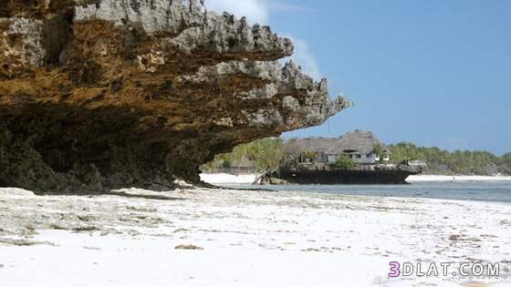 مطعم الصخرة بسواحل زنجبار بتنزانيا شاهد مطعم الصخرة بسواحل زنجبار بتنزانيا